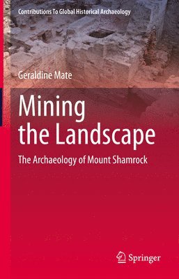 Mining the Landscape 1