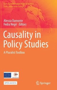bokomslag Causality in Policy Studies