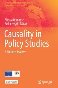 bokomslag Causality in Policy Studies