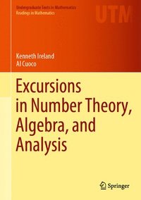 bokomslag Excursions in Number Theory, Algebra, and Analysis