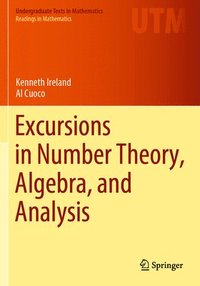 bokomslag Excursions in Number Theory, Algebra, and Analysis