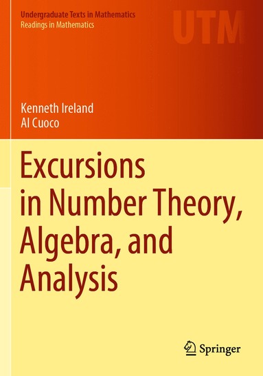 bokomslag Excursions in Number Theory, Algebra, and Analysis