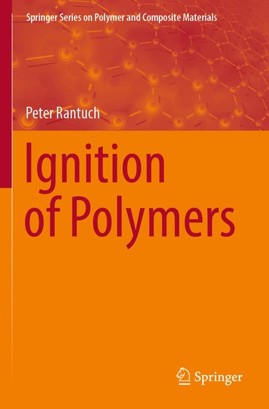 Peter Rantuch - Ignition of Polymers, Häftad