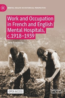 bokomslag Work and Occupation in French and English Mental Hospitals,  c.1918-1939