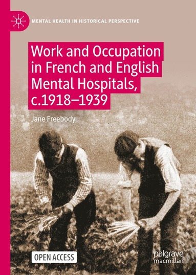 bokomslag Work and Occupation in French and English Mental Hospitals,  c.1918-1939