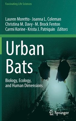 Urban Bats 1