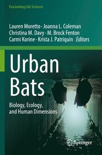 bokomslag Urban Bats