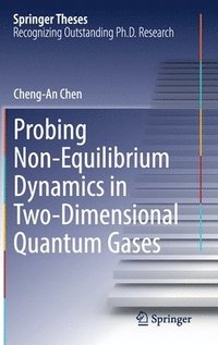 bokomslag Probing Non-Equilibrium Dynamics in Two-Dimensional Quantum Gases