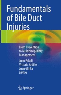 bokomslag Fundamentals of Bile Duct Injuries
