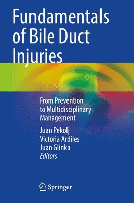 bokomslag Fundamentals of Bile Duct Injuries