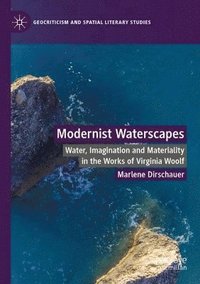 bokomslag Modernist Waterscapes