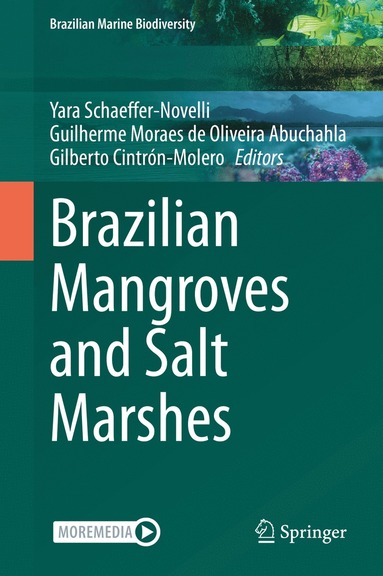 bokomslag Brazilian Mangroves and Salt Marshes