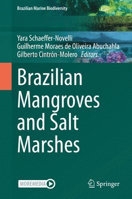 Brazilian Mangroves and Salt Marshes