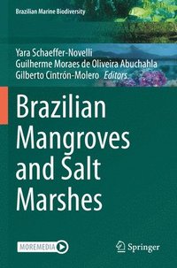 bokomslag Brazilian Mangroves and Salt Marshes