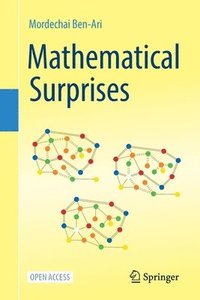 bokomslag Mathematical Surprises