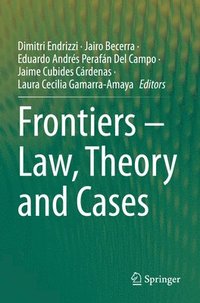 bokomslag Frontiers - Law, Theory and Cases