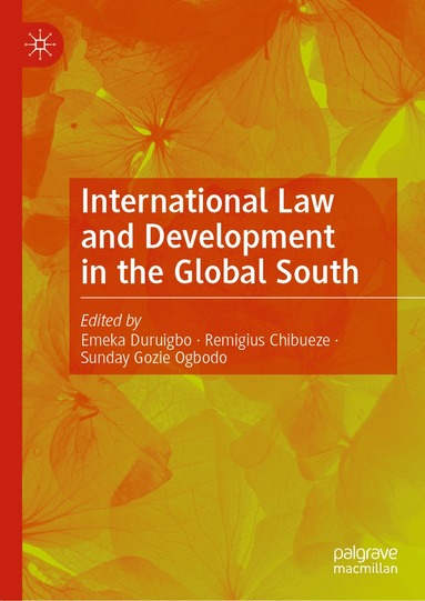 bokomslag International Law and Development in the Global South