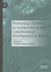 bokomslag Promoting Efficiency in Jurisprudence and Constitutional Development in Africa