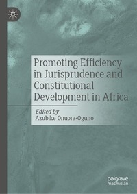 bokomslag Promoting Efficiency in Jurisprudence and Constitutional Development in Africa