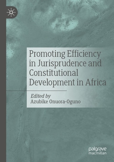 bokomslag Promoting Efficiency in Jurisprudence and Constitutional Development in Africa