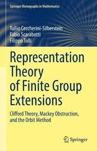 bokomslag Representation Theory of Finite Group Extensions