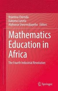 bokomslag Mathematics Education in Africa