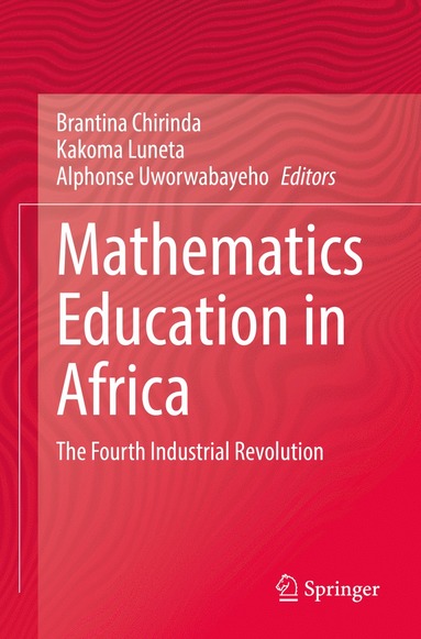 bokomslag Mathematics Education in Africa