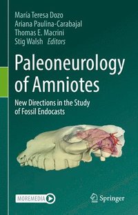 bokomslag Paleoneurology of Amniotes