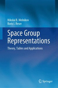 bokomslag Space Group Representations