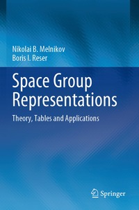 bokomslag Space Group Representations