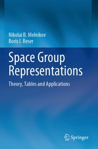 bokomslag Space Group Representations