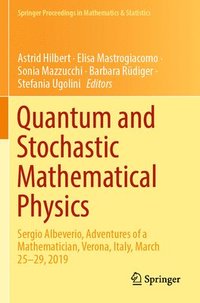 bokomslag Quantum and Stochastic Mathematical Physics