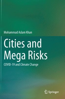 bokomslag Cities and Mega Risks