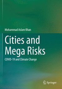 bokomslag Cities and Mega Risks