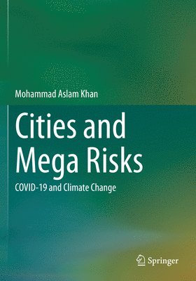 bokomslag Cities and Mega Risks