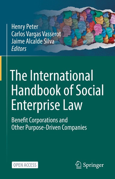Henry Peter, Carlos Vargas Vasserot, Jaime Alcalde Silva - International Handbook of Social Enterprise Law, Inbunden