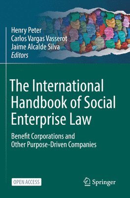 Henry Peter, Carlos Vargas Vasserot, Jaime Alcalde Silva - International Handbook of Social Enterprise Law, Häftad