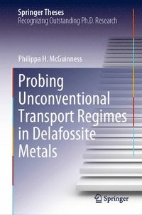bokomslag Probing Unconventional Transport Regimes in Delafossite Metals