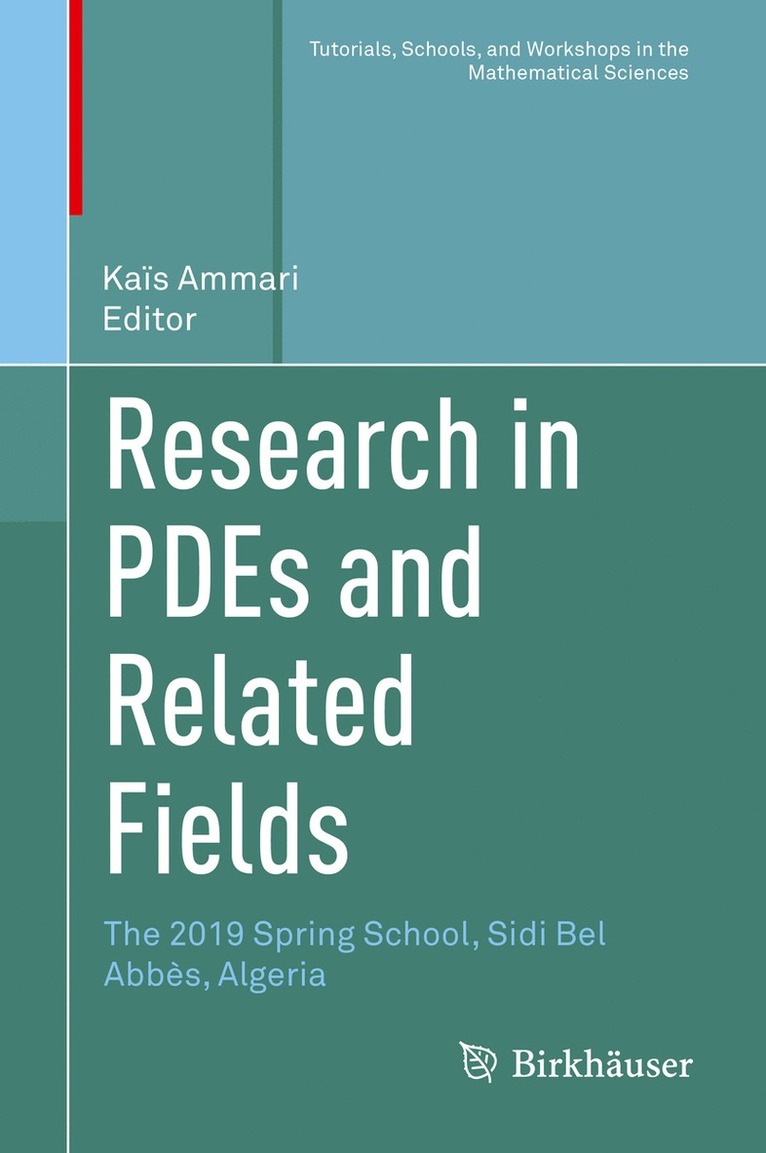 Kaïs Ammari, Kais Ammari, Kaïs - Research in PDEs and Related Fields, Inbunden