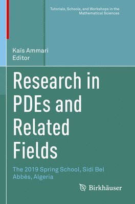 Kaïs Ammari, Kais Ammari, Kaïs - Research in PDEs and Related Fields, Häftad