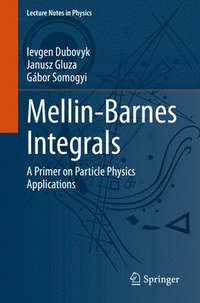 bokomslag Mellin-Barnes Integrals