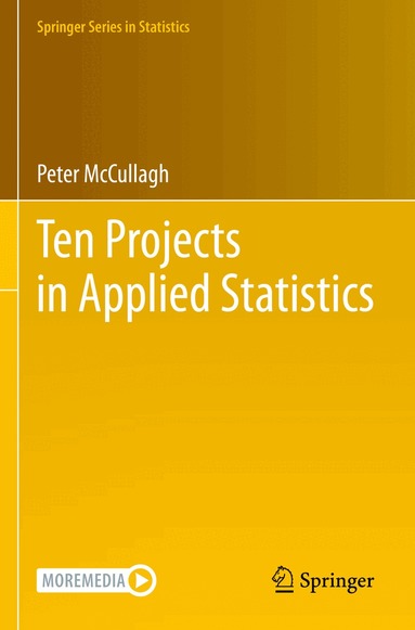Peter McCullagh - Ten Projects in Applied Statistics, Häftad