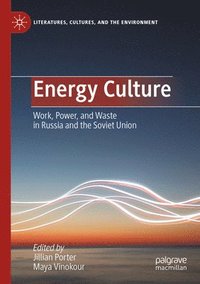 bokomslag Energy Culture
