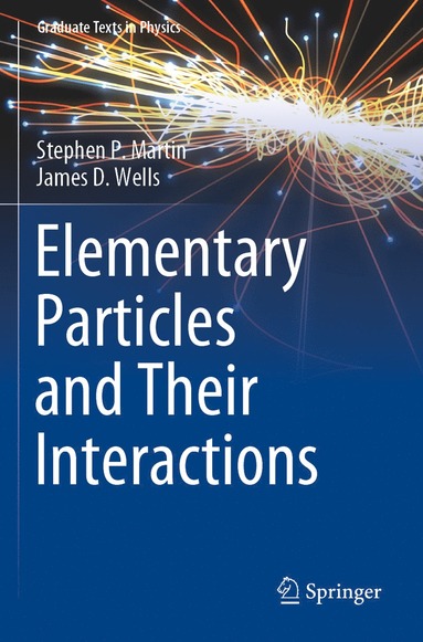 bokomslag Elementary Particles and Their Interactions