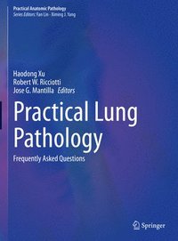 bokomslag Practical Lung Pathology