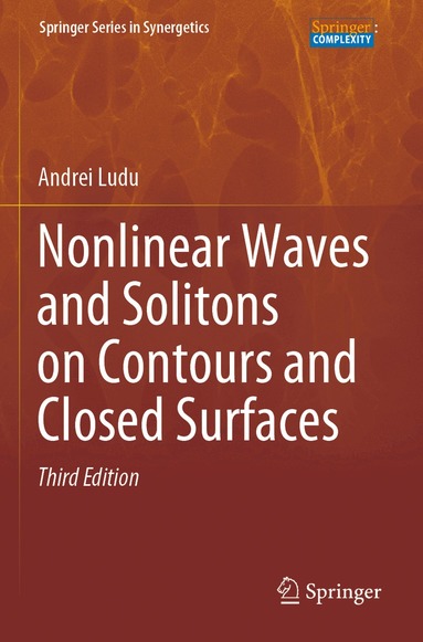 Andrei Ludu - Nonlinear Waves and Solitons on Contours and Closed Surfaces, Häftad