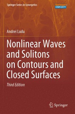 bokomslag Nonlinear Waves and Solitons on Contours and Closed Surfaces