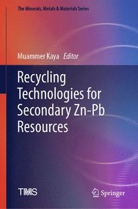 bokomslag Recycling Technologies for Secondary Zn-Pb Resources