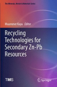 bokomslag Recycling Technologies for Secondary Zn-Pb Resources