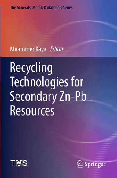 Muammer Kaya - Recycling Technologies for Secondary Zn-Pb Resources, Häftad